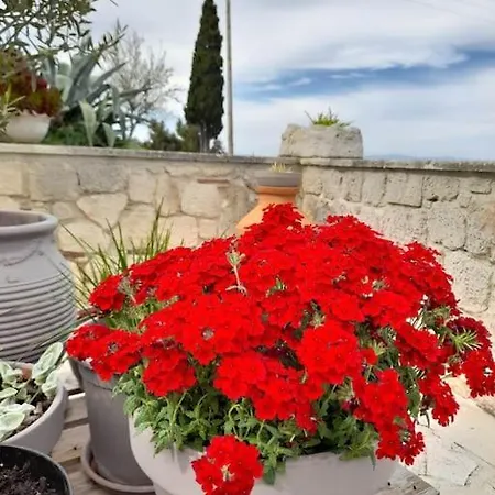 Rodon - With Seaview Backyard In Áfitos